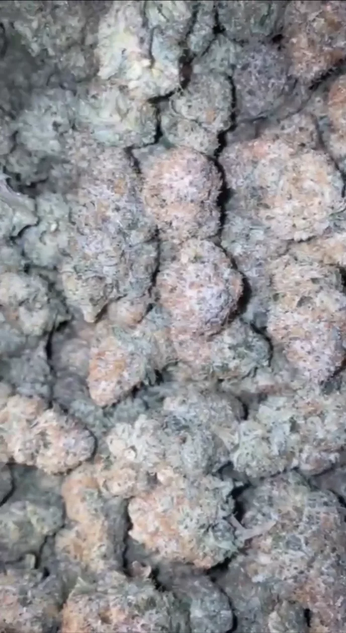Super Boof (bulk)